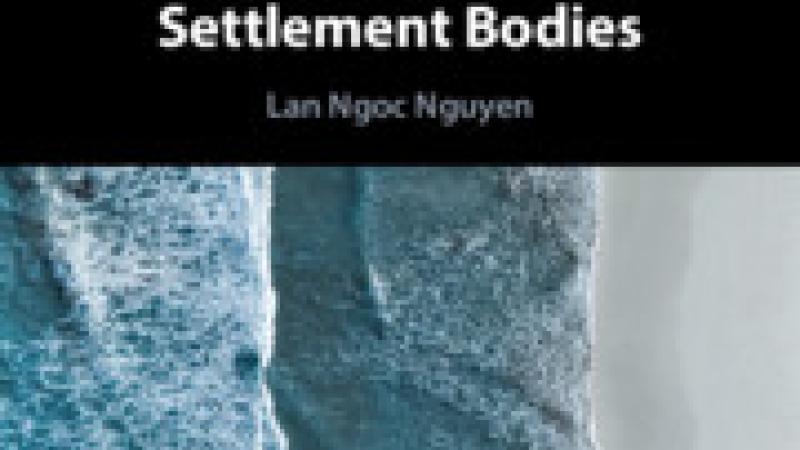 Nguyen, L.N., The Development of the Law of the Sea by UNCLOS Dispute Settlement Bodies, Cambridge, Cambridge University Press, 2023.