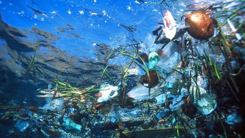 Other|Marine Debris|Peace Palace Library