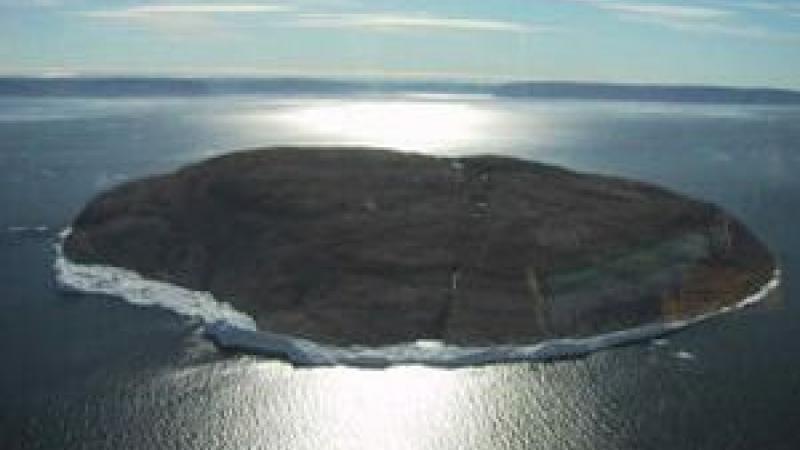 Other|Hans Island|Peace Palace Library