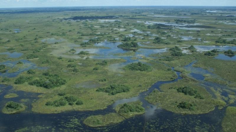 Other|Okavango Delta|Peace Palace Library