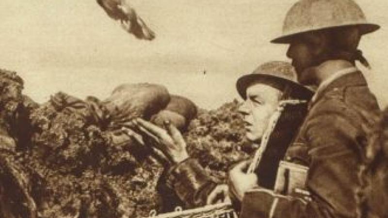 Other|Carrier Pigeons in the First World War|Peace Palace Library