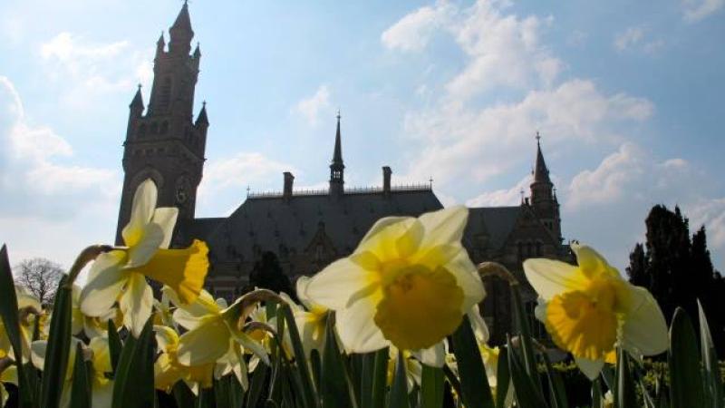 Other|Spring is coming|Peace Palace Library