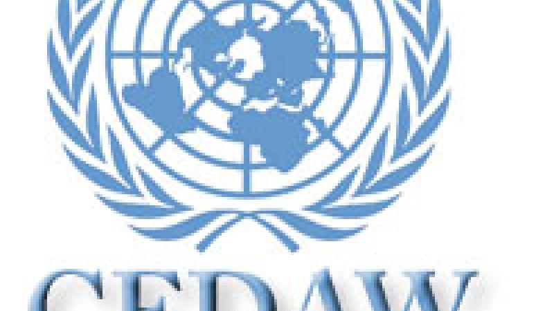 Other|UN-CEDAW logo|Peace Palace Library