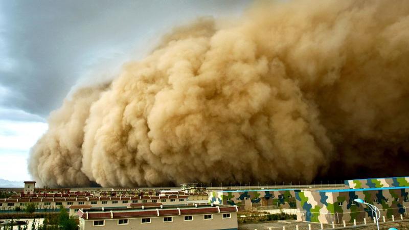 Event|Sandstorm-Forced Migration|Peace Palace Library