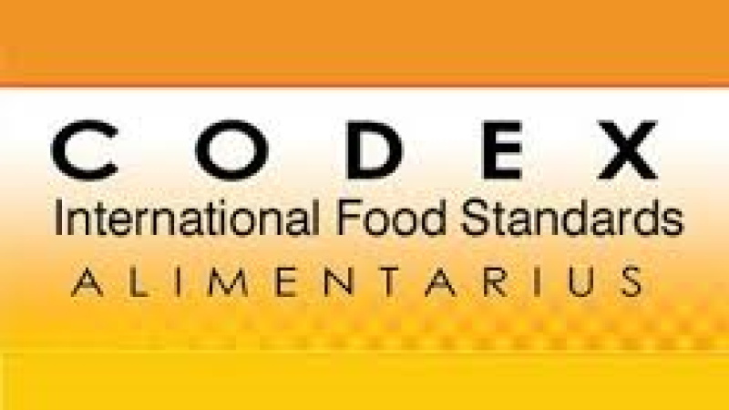 Other|Codex Alimentarius11|Peace Palace Library