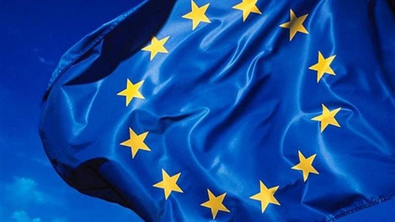 Other|From Common Market to Common Democracy-flag|Peace Palace Library