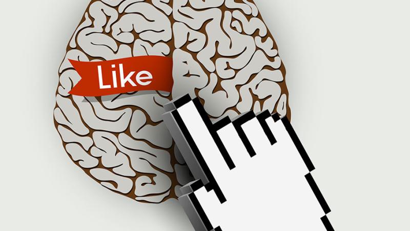 Other|like-brain|Peace Palace Library
