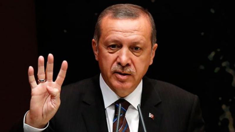 Portrait|Erdogan|Peace Palace Library