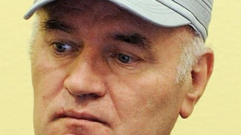 Portrait|Ratko Mladic Peace Palace Library news|Peace Palace Library