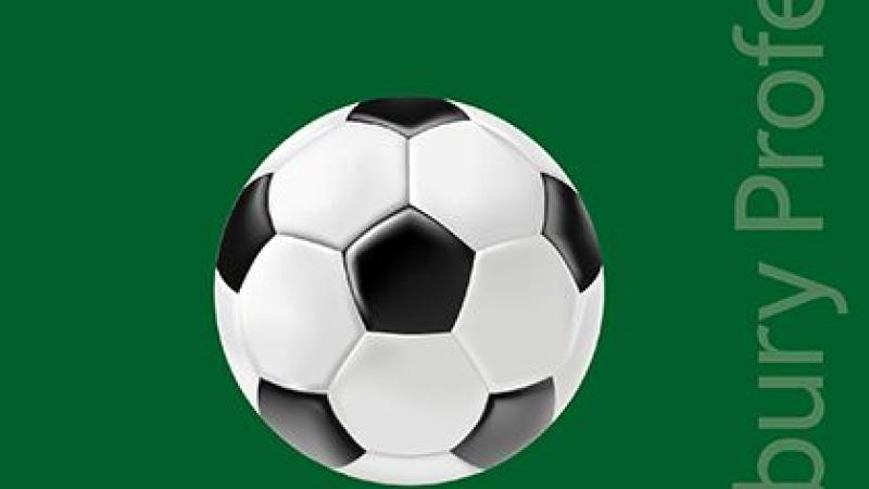 Book|De Marco|Football and the Law|Peace Palace Library
