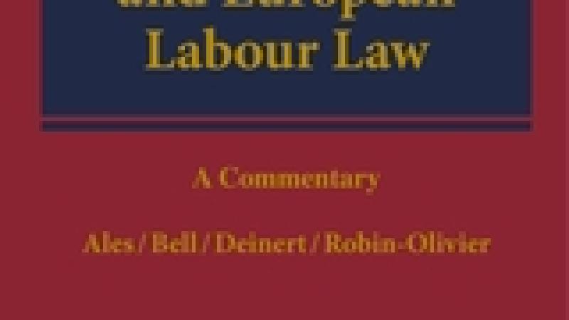 Book | Ales | International and European labour law | Peace Palace Library
