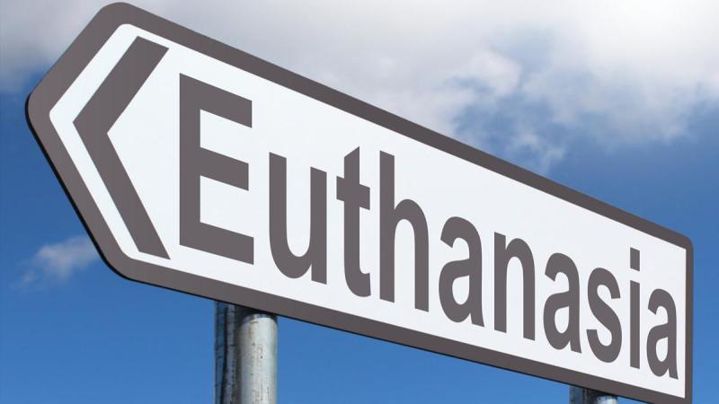 Euthanasia And Assisted Suicide | Peace Palace Library