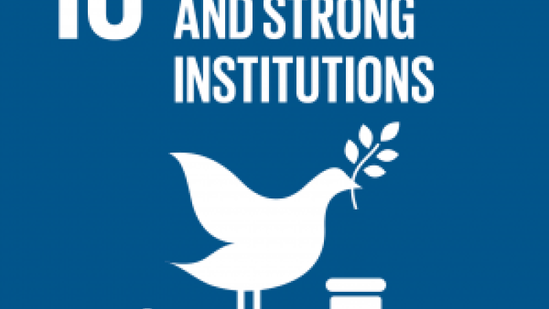 SDG16: Peace, Justice and Strong Institutions → the Peace Palace!