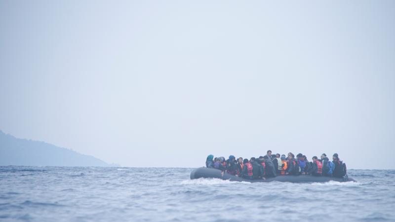 Other | Refugees | Peace Palace Library
