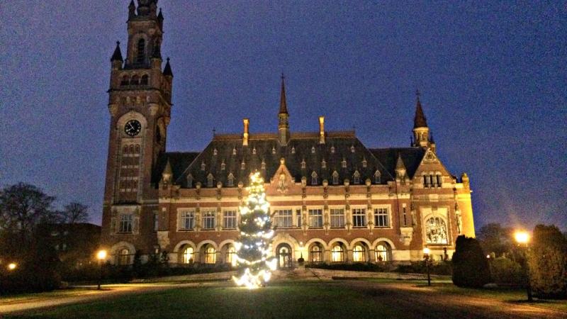 The Christmas Tree has arrived! | Peace Palace Library
