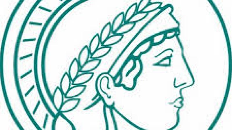 Max Planck Institute Comparative Public Law and International Law