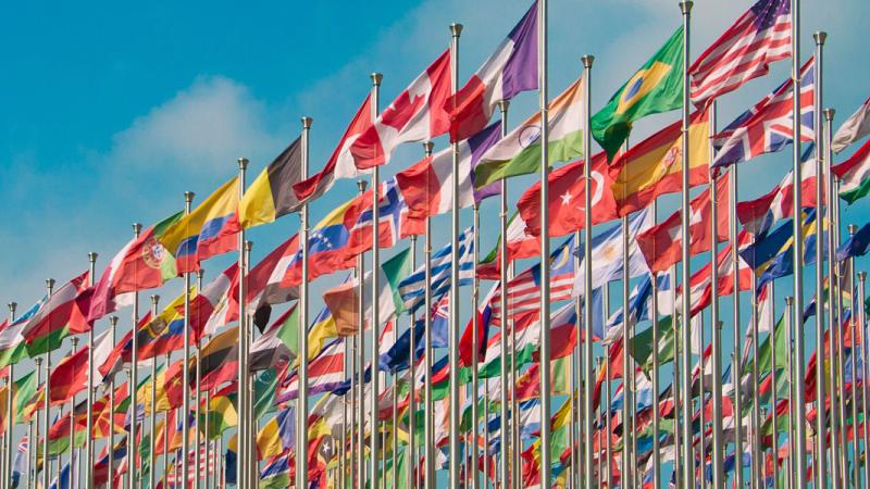 International Organizations