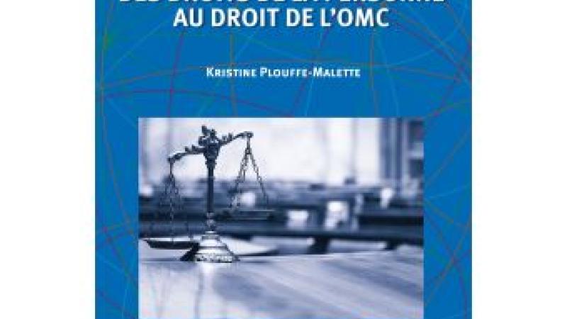 Plouffe-Malette, K., Moralité publique des droits de la personne au droit de l'OMC, Bruxelles, Bruylant, 2020.