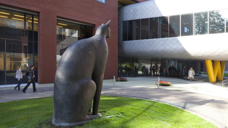 Zwarte Kat - Academiegebouw