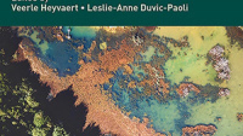 Heyvaert, V. and L. Duvic-Paoli, Research Handbook on Transnational Environmental Law, 2020