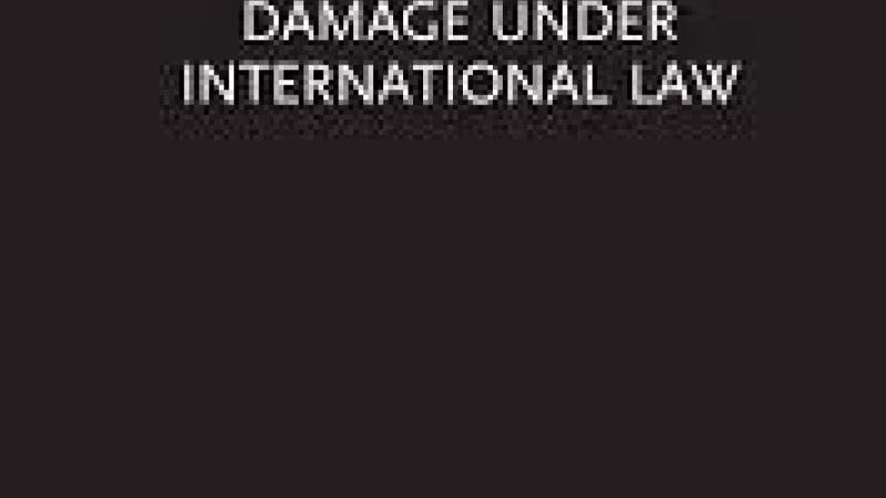Rudall, J., Compensation for Environmental Damage under International Law, 2020