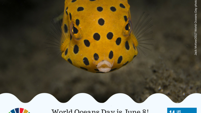 World Oceans Day, 8 June