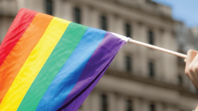  LGBTQ+ Rights: New Database Added to the Social Justice Suite