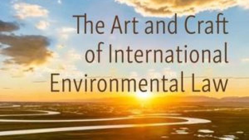 Bodansky, Daniel, and Harro van Asselt. The Art and Craft of International Environmental Law 2024