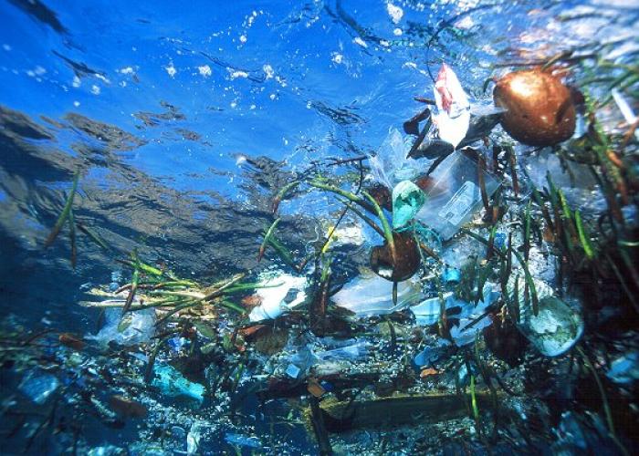 Other|Marine Debris|Peace Palace Library