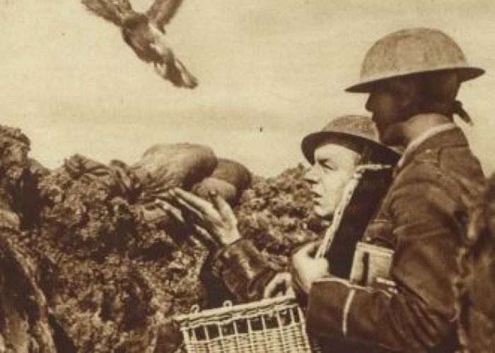 Other|Carrier Pigeons in the First World War|Peace Palace Library