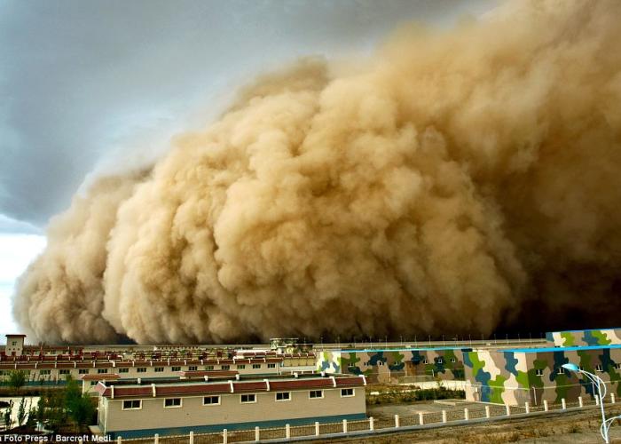 Event|Sandstorm-Forced Migration|Peace Palace Library