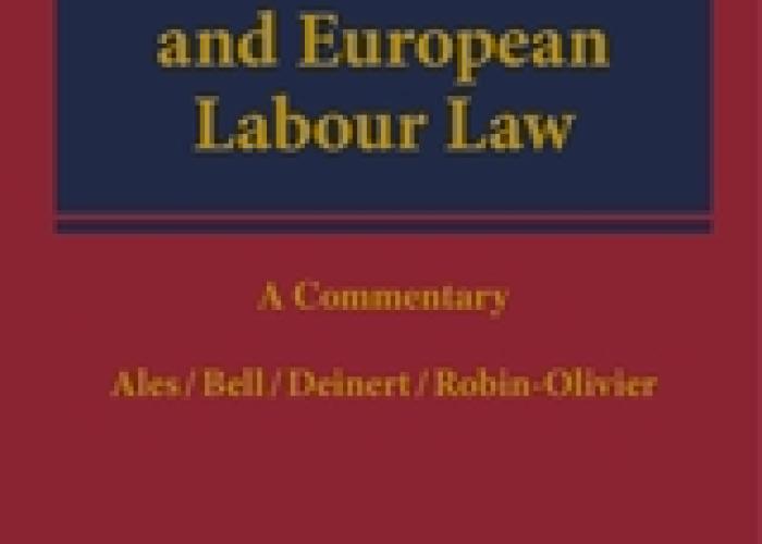 Book | Ales | International and European labour law | Peace Palace Library