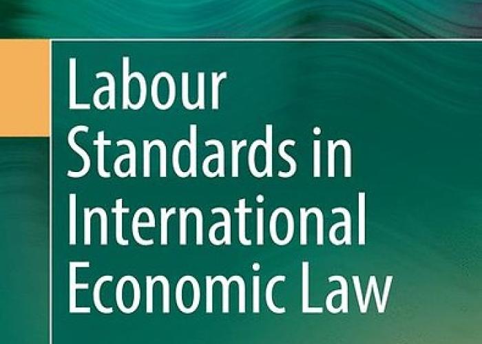 Book | Gott | Labour standards in international economic law | Peace Palace Library