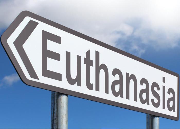 Other | Euthanasia and Assisted Suicide | Peace Palace Library