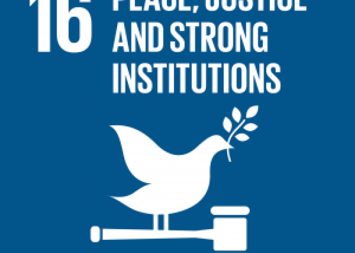 SDG16: Peace, Justice and Strong Institutions → the Peace Palace!