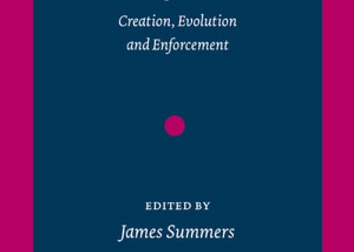 Book|Summers|Non-State Actors and International Obligations Creation Evolution and Enforcement|Peace Palace Library