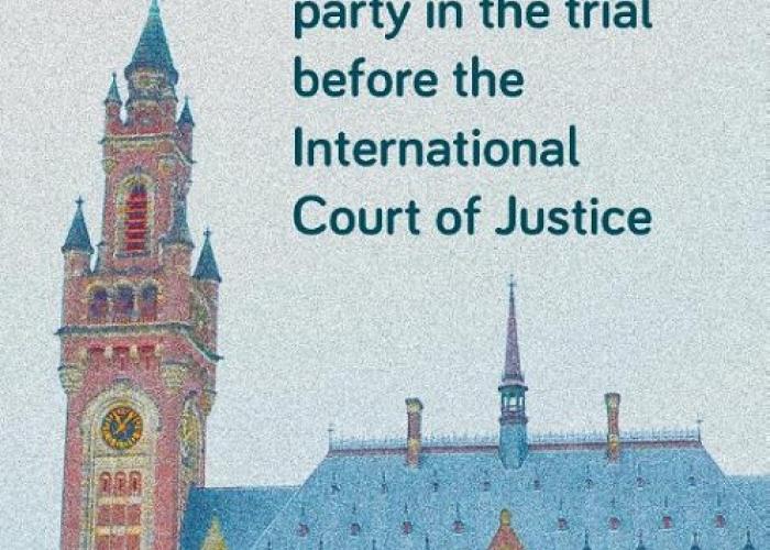 Liakopoulos, D., The role of Not Party in the Trial before the International Court of Justice, 2020