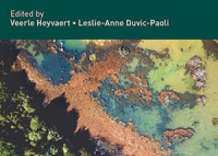 Heyvaert, V. and L. Duvic-Paoli, Research Handbook on Transnational Environmental Law, 2020