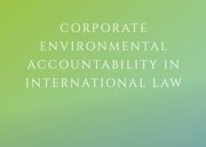 Morgera, E., Corporate Environmental Accountability in International Law, 2020 