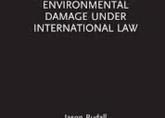 Rudall, J., Compensation for Environmental Damage under International Law, 2020