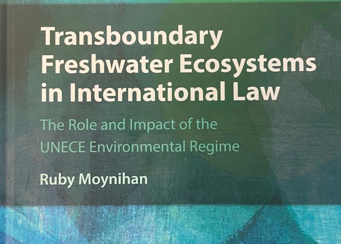 Moynihan, R., Transboundary Freshwater Ecosystems in International Law: the Role and Impact of the UNECE Environmental Regime, 2021