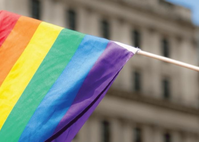  LGBTQ+ Rights: New Database Added to the Social Justice Suite