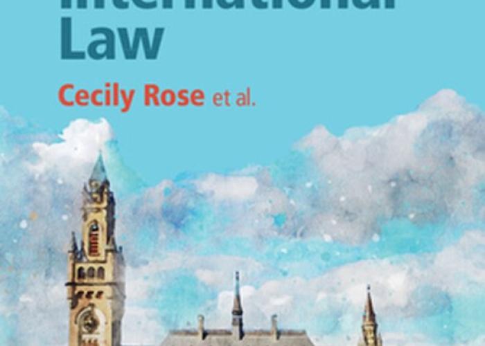 Rose, C., An Introduction to Public International Law, 2022