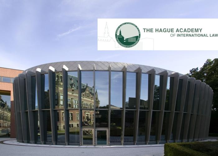 The Hague Academy 2023 Summer Courses