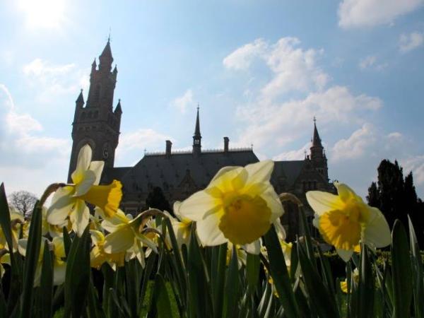 Other|Spring is coming|Peace Palace Library