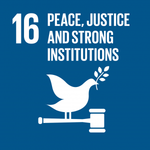 SDG16: Peace, Justice and Strong Institutions → the Peace Palace!